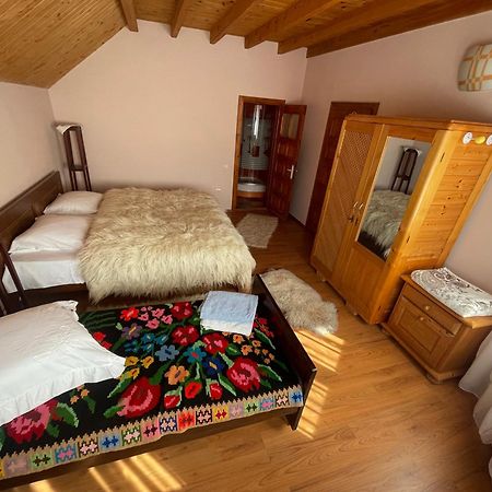 Pensiunea Valea Badilii Valea Iasului Extérieur photo
