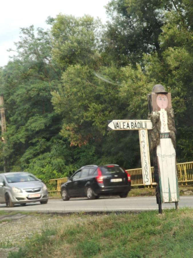Pensiunea Valea Badilii Valea Iasului Extérieur photo