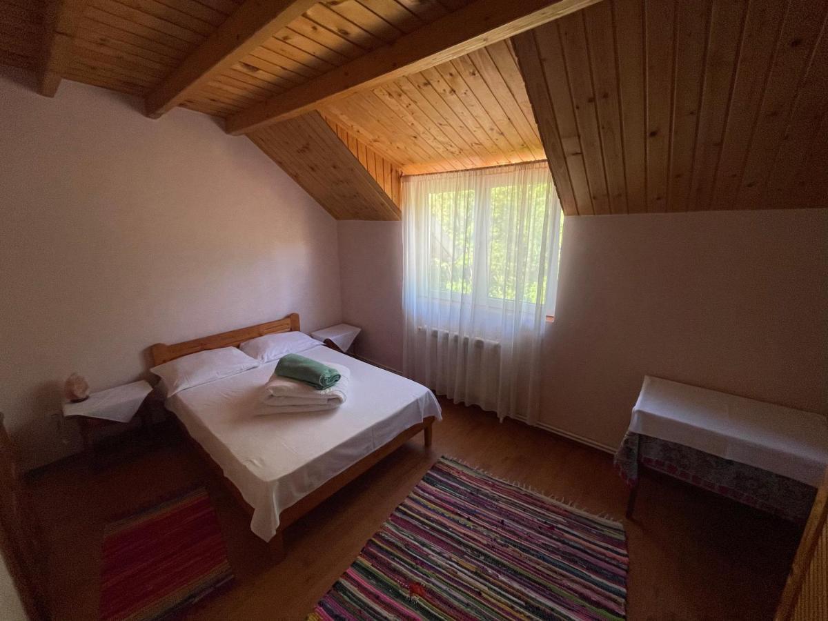 Pensiunea Valea Badilii Valea Iasului Extérieur photo
