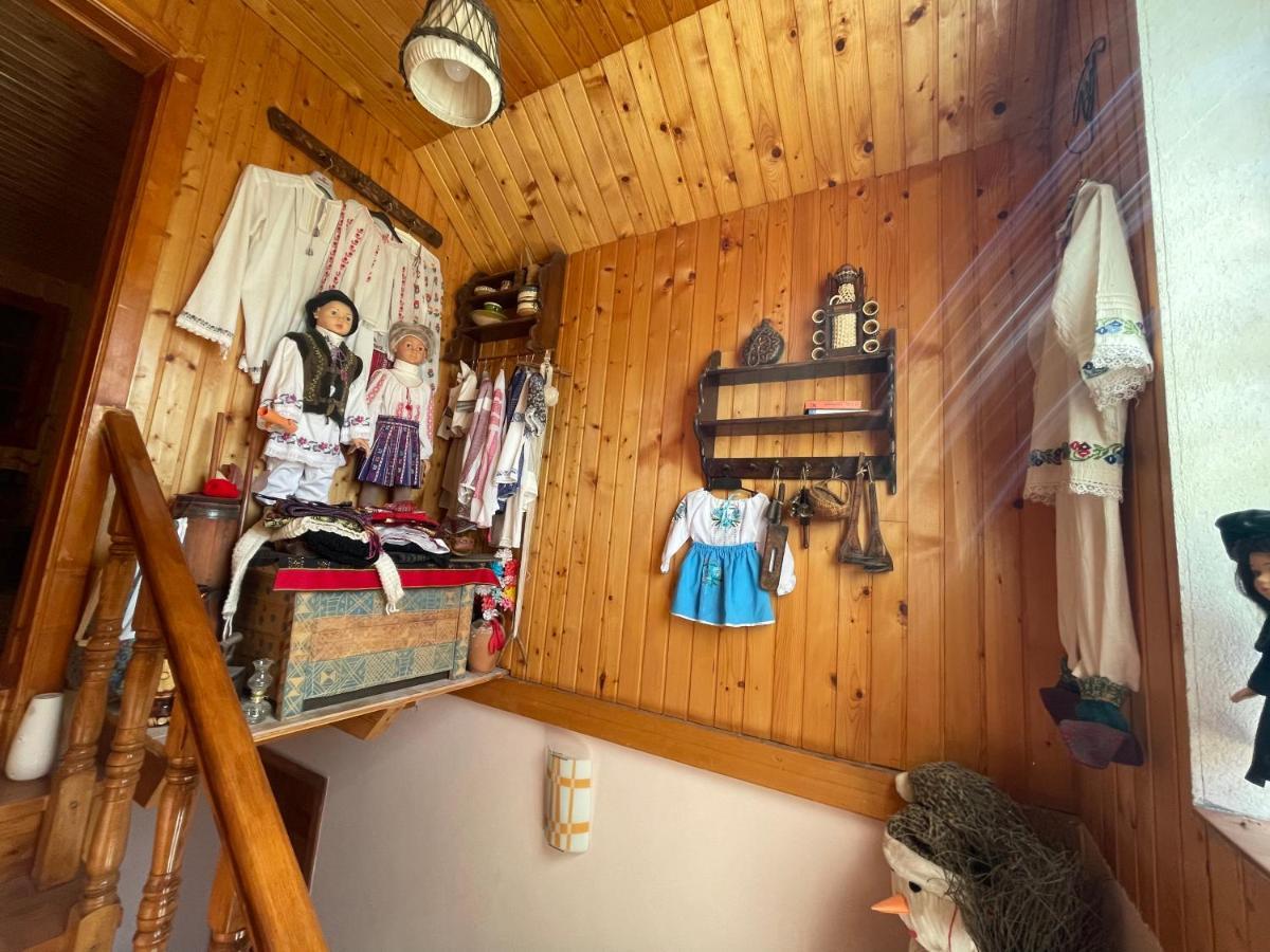 Pensiunea Valea Badilii Valea Iasului Extérieur photo