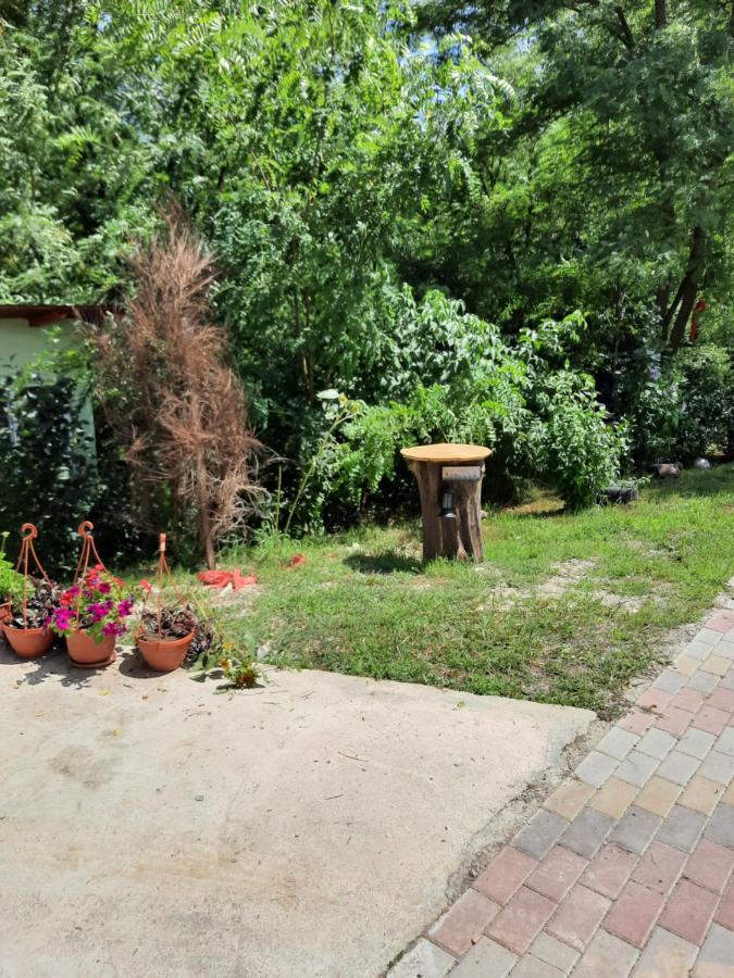 Pensiunea Valea Badilii Valea Iasului Extérieur photo