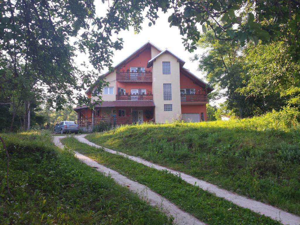 Pensiunea Valea Badilii Valea Iasului Extérieur photo