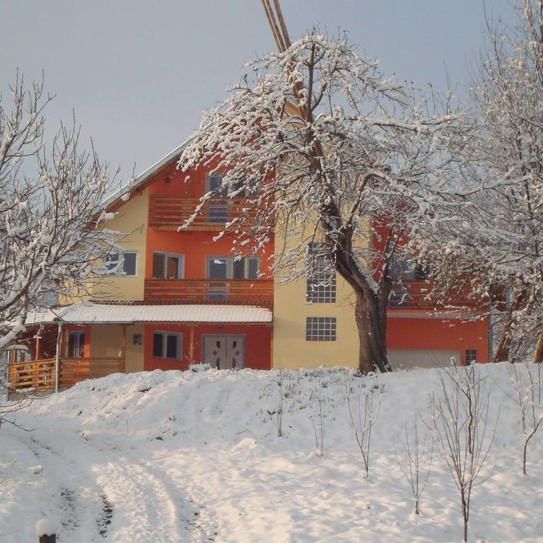 Pensiunea Valea Badilii Valea Iasului Extérieur photo