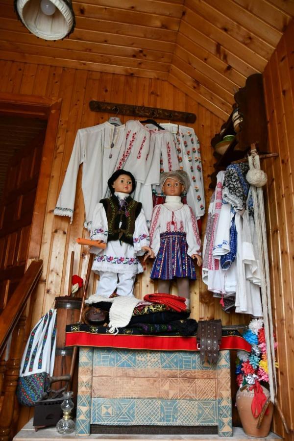 Pensiunea Valea Badilii Valea Iasului Extérieur photo