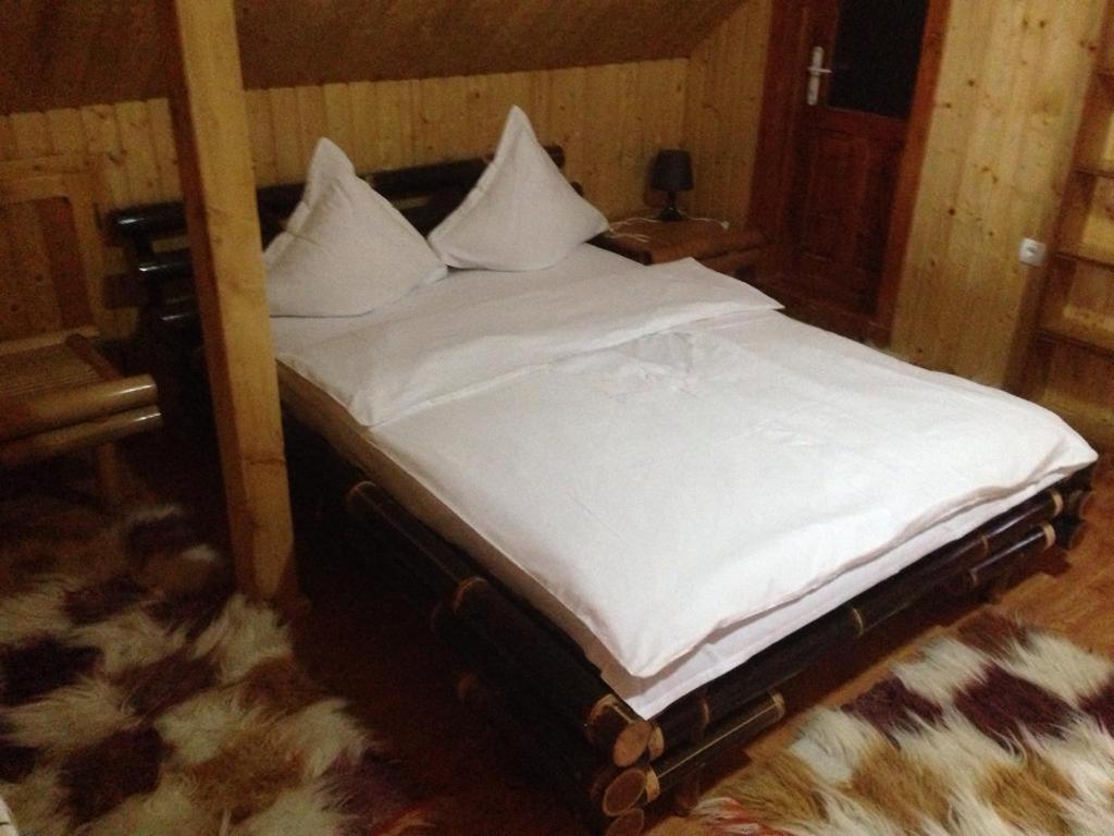 Pensiunea Valea Badilii Valea Iasului Extérieur photo