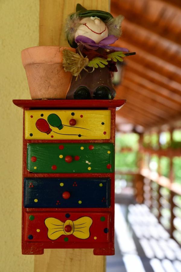 Pensiunea Valea Badilii Valea Iasului Extérieur photo