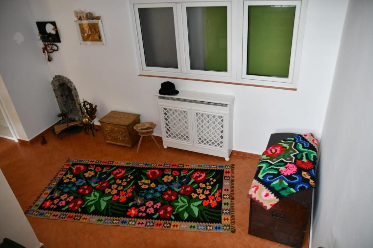 Pensiunea Valea Badilii Valea Iasului Extérieur photo
