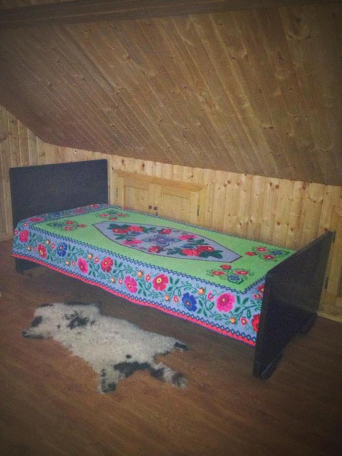 Pensiunea Valea Badilii Valea Iasului Extérieur photo