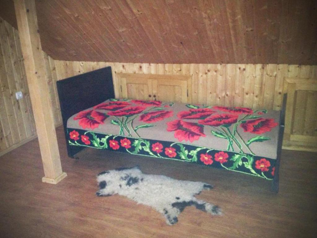 Pensiunea Valea Badilii Valea Iasului Extérieur photo