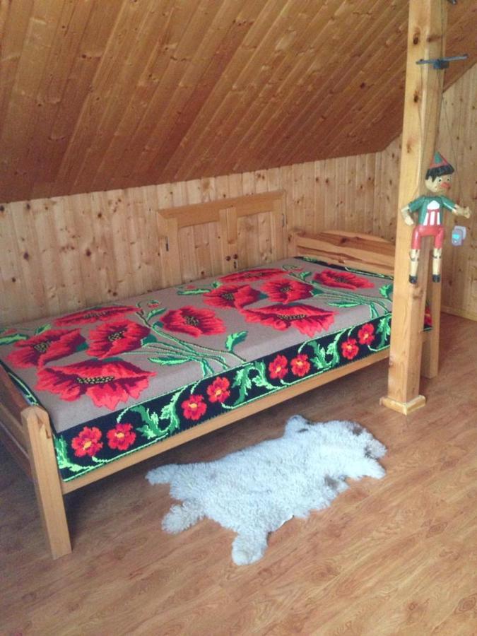 Pensiunea Valea Badilii Valea Iasului Extérieur photo