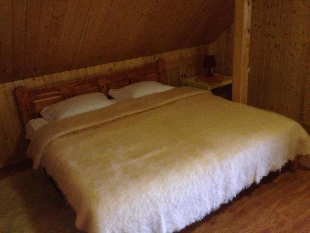 Pensiunea Valea Badilii Valea Iasului Extérieur photo