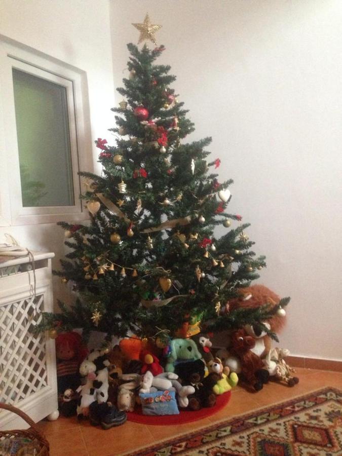 Pensiunea Valea Badilii Valea Iasului Extérieur photo
